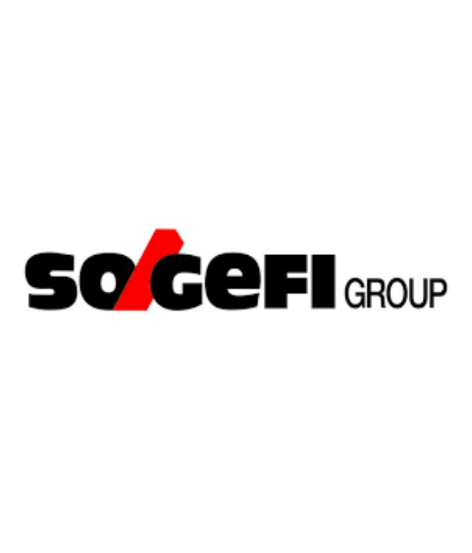 LOGO SOGEFI GROUP